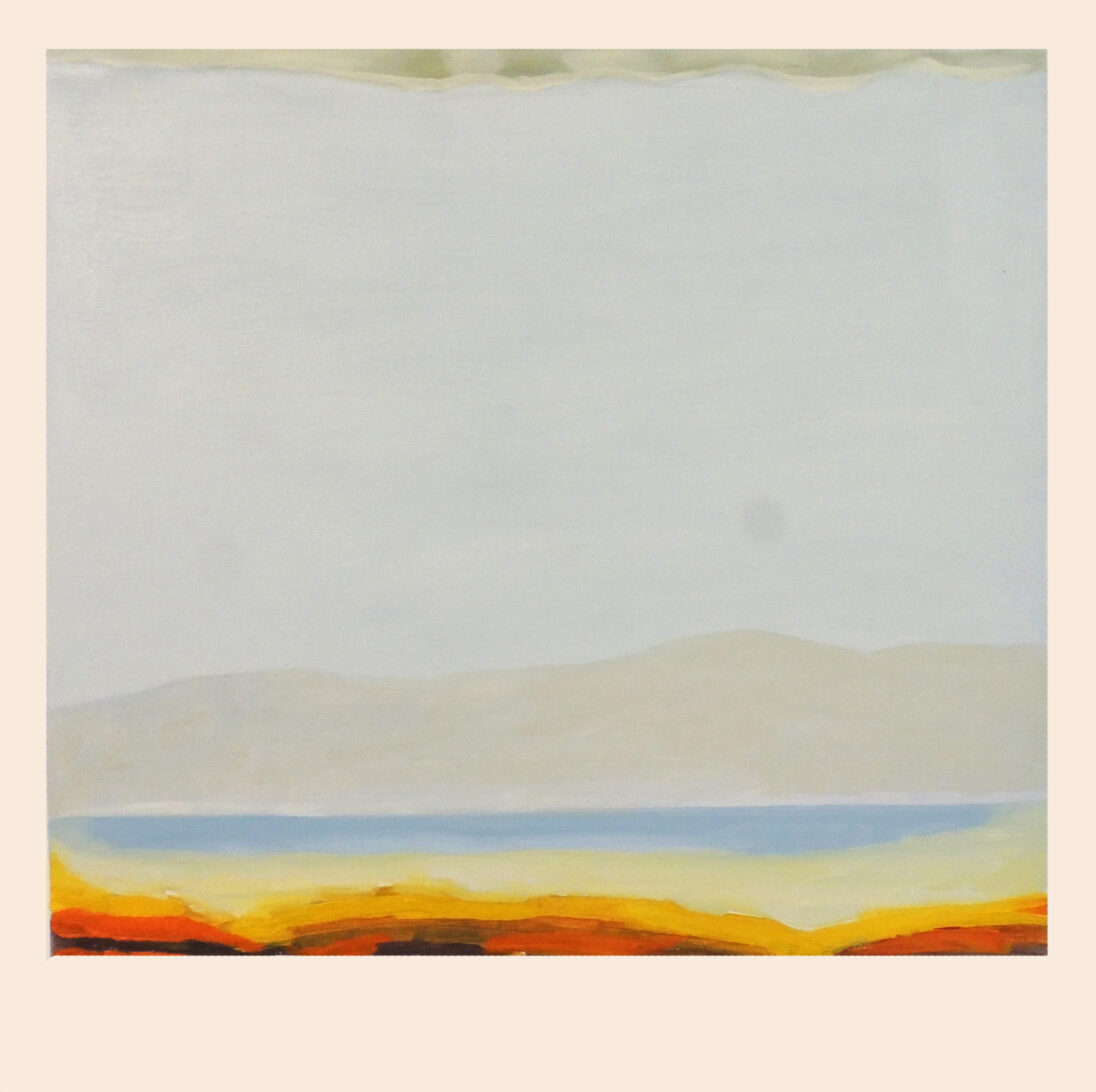 sem título 2015 óleo s. tela 60 x 60 cm